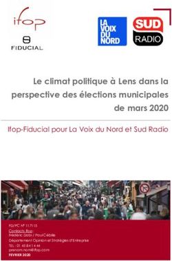 Le climat politique à Lens dans la perspective des élections municipales de mars 2020