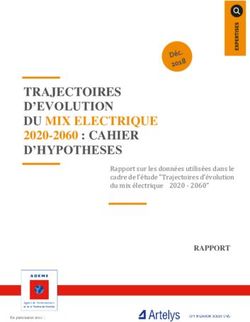 TRAJECTOIRES D'EVOLUTION DU MIX ELECTRIQUE 2020-2060 : CAHIER D'HYPOTHESES - RAPPORT - Ademe