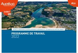 2022 PROGRAMME DE TRAVAIL - #20 - AudéLor