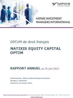 NATIXIS EQUITY CAPITAL OPTIM - OPCVM de droit fran&ccedil;ais - Natixis Investment ...