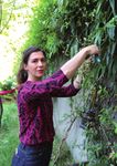 Le mag' - Les graines d'un avenir durable - Romainville - Ville de Romainville