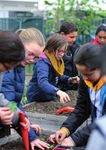 Le mag' - Les graines d'un avenir durable - Romainville - Ville de Romainville