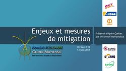 Enjeux et mesures de mitigation - Présenté à Hydro-Québec par le comité intersyndical - SCFP 2000
