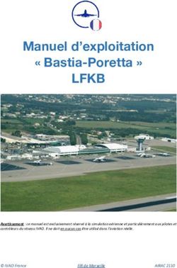 LFKB Manuel D'exploitation " Bastia-Poretta " - IVAO France