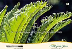 Tuttogarden 2018 Ile verte dans le parc naturel des Collines Euganéennes