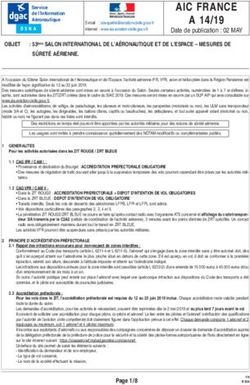 SÛRETÉ AÉRIENNE - Aviation civile