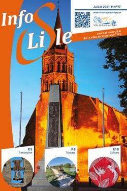 P.8 Travaux P.18 - Ville de Lisle-sur-Tarn
