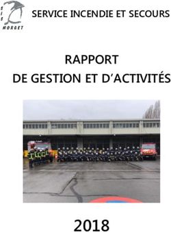 2018 RAPPORT DE GESTION ET D'ACTIVITÉS SERVICE INCENDIE ET SECOURS - SIS Morget