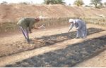 Verdir le Sahel et le Sahara grâce au biochar - Pro-Natura ...