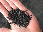 Verdir le Sahel et le Sahara grâce au biochar - Pro-Natura ...