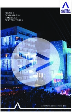 PREMIER DÉVELOPPEUR IMMOBILIER DES TERRITOIRES - RAPPORT STRATÉGIQUE INTÉGRÉ 2017