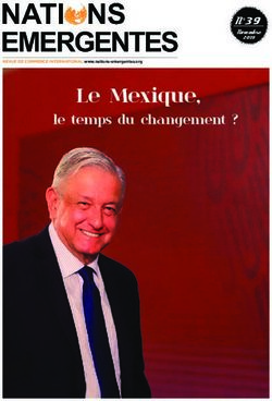 Le Mexique, le temps du changement ? - N 39 - Nations Emergentes