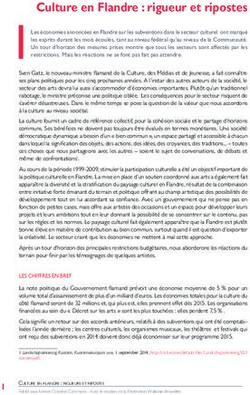 Culture en Flandre : rigueur et ripostes - Smart