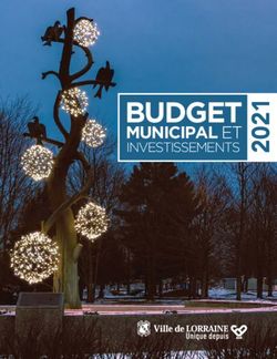 BUDGET MUNICIPAL ET INVESTISSEMENTS 2 - Ville de Lorraine