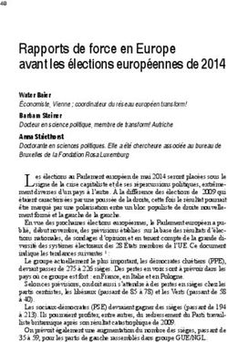 Rapports de force en Europe avant les élections européennes de 2014