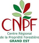 Situation sanitaire des peuplements forestiers du Grand Est