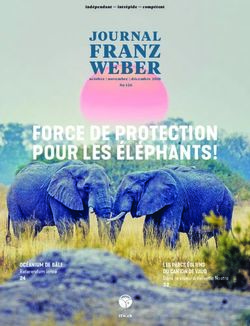 FORCE DE PROTECTION POUR LES ÉLÉPHANTS! - FRANZ WEBER - Fondation Franz Weber