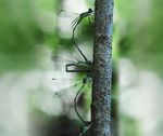 Les Feuillets Réserve naturelle - Agriculture durable Genève