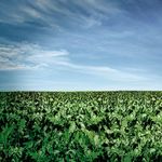 FARMER LINE Professional Products - MOTOREX