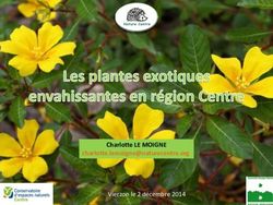 Charlotte LE MOIGNE - Vierzon le 2 décembre 2014 - SAGE Cher aval