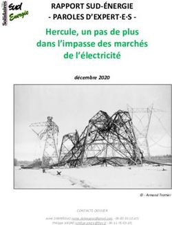 Hercule, un pas de plus dans l'impasse des march&eacute;s de l'&eacute;lectricit&eacute;