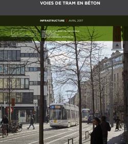 VOIES DE TRAM EN BÉTON - Febelcem