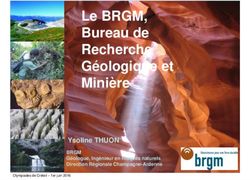 Le BRGM, Bureau de Recherche G&eacute;ologique et Mini&egrave;re - Ysoline THUON BRGM G&eacute;ologue, Ing&eacute;nieur en Risques naturels Direction R&eacute;gionale ...