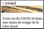 L'IMPACT COVID-19 MARCH&Eacute; DE LA CONSTRUCTION ET PRIX DU BOIS-D'OEUVRE - Webinaire - Conseil &eacute;conomique de Beauce - Conseil &eacute;conomique ...