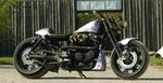 SOFTAIL FUSION LE BOAR DE MARTIN BECKER - mb cycles