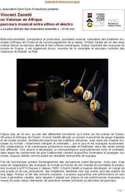 Vincent Zanetti un Valaisan en Afrique, parcours musical entre ethno et &eacute;lectro " Le plus africain des musiciens romands " - 24 Heures ...