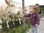 Le travail en &eacute;levage et ses mutations - productions-animales.org