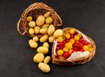 Service Tourisme des Coteaux du Girou 1 Rue du Girou, 31380 GRAGNAGUE 05.34.27.63.75 www.cc-coteaux-du-girou.fr ...