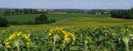 Service Tourisme des Coteaux du Girou 1 Rue du Girou, 31380 GRAGNAGUE 05.34.27.63.75 www.cc-coteaux-du-girou.fr ...