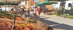 Service Tourisme des Coteaux du Girou 1 Rue du Girou, 31380 GRAGNAGUE 05.34.27.63.75 www.cc-coteaux-du-girou.fr ...