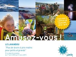 Amusez-vous ! LE LAVANDOU - "Plus de loisirs à prix malins pour petits et grands"