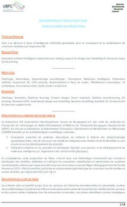 DESCRIPTION DU TRAVAIL DE THESE DANS LE CADRE DU PROJET PAN - ED SPIM