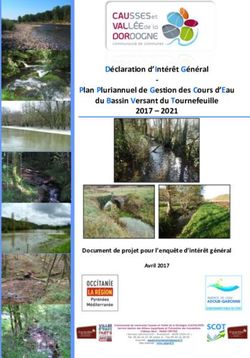 Déclaration d'Intérêt Général Plan Pluriannuel de Gestion des Cours d'Eau du Bassin Versant du Tournefeuille 2017 2021 - Document de projet pour ...