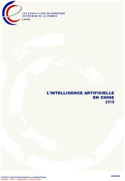 L'INTELLIGENCE ARTIFICIELLE EN CHINE 2018 - CNCCEF