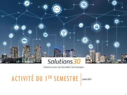 ACTIVITÉ DU 1ER SEMESTRE Juillet 2019 - Solutions30