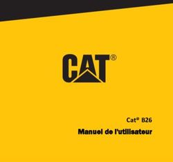 Cat B26 Manuel de l'utilisateur - Cat phones