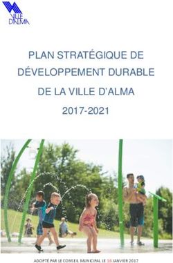 PLAN STRATÉGIQUE DE DÉVELOPPEMENT DURABLE DE LA VILLE D'ALMA 2017-2021