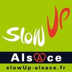 EN FÊTE ! LA ROUTE DES VINS - CHÂTENOIS, BERGHEIM & SÉLESTAT À VÉLO, À PIED, EN ROLLER, HABILLÉS DE BLANC - slowUp Alsace