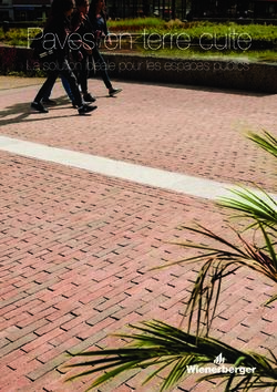 Pav&eacute;s en terre cuite La solution id&eacute;ale pour les espaces publics - Wienerberger