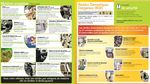 25 id&eacute;es pour mettre en pratique les 3R - (r&eacute;duire, r&eacute;utiliser, recycler) Mon milieu, mon environnement - R&eacute;seau In-Terre-Actif