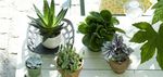 25 id&eacute;es pour mettre en pratique les 3R - (r&eacute;duire, r&eacute;utiliser, recycler) Mon milieu, mon environnement - R&eacute;seau In-Terre-Actif