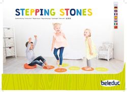 STEPPING STONES Spielanleitung * Instruction * Régle du jeu * Regla del juego * Spelregels * Manuale * - Beleduc