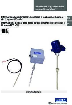 Informations complémentaires concernant les zones explosives (Ex i), types RTD et TC Información adicional para zonas potencialmente explosivas ...