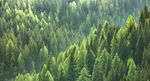 Responsabilit&eacute; sociale de l'entreprise 2020 : Environnement, soci&eacute;t&eacute; et gouvernance