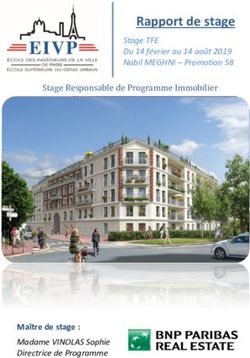 Rapport de stage - Ma&icirc;tre de stage : documentation EIVP