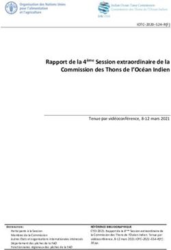 Rapport de la 4ème Session extraordinaire de la Commission des Thons de l'Océan Indien - Indian Ocean Tuna Commission